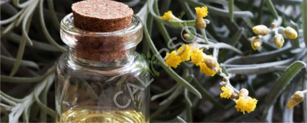 Helichrysum Abs. Oil Benefits